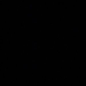 Meet your Posher, Davida